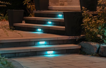 Hardscape Light