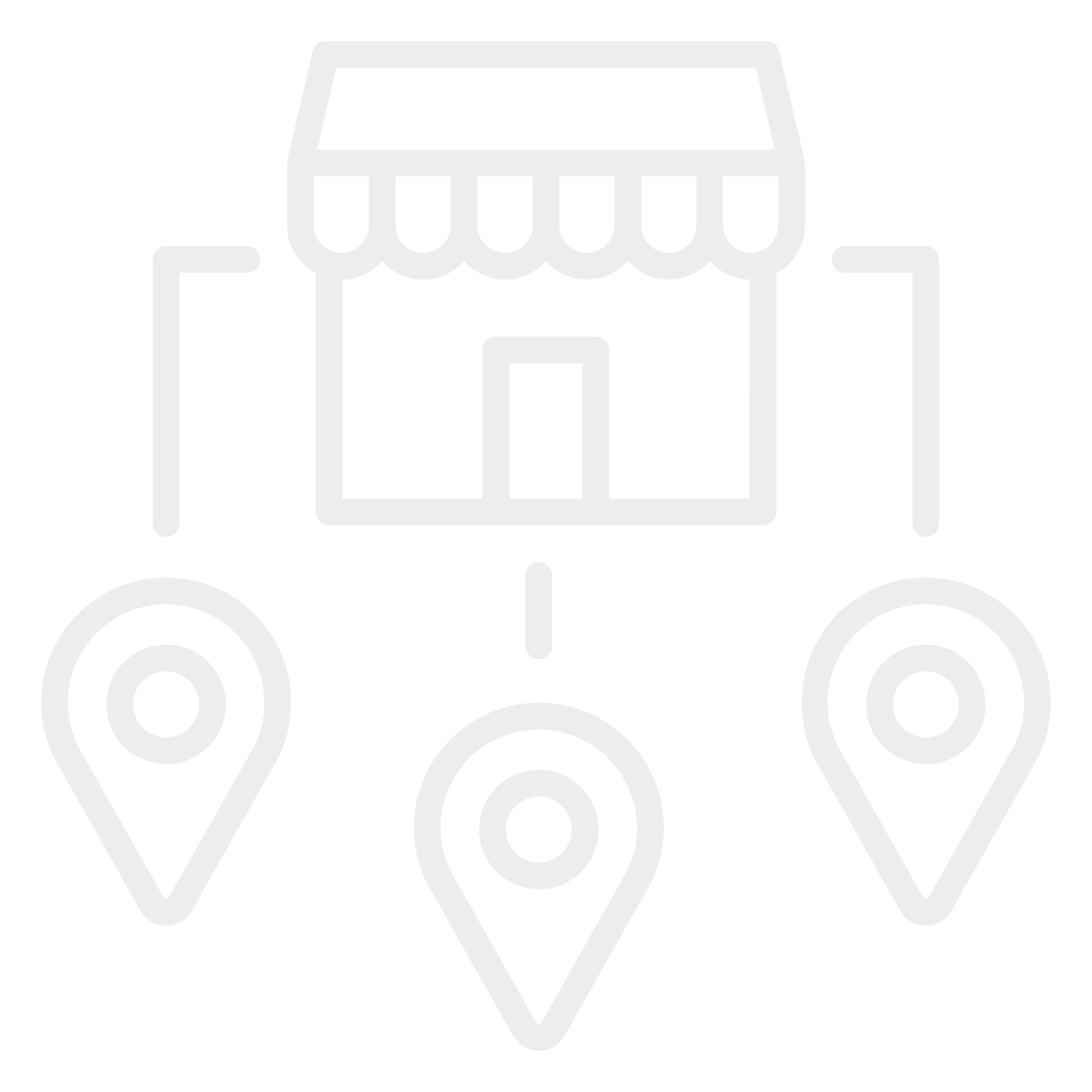 Franchise-style-model
