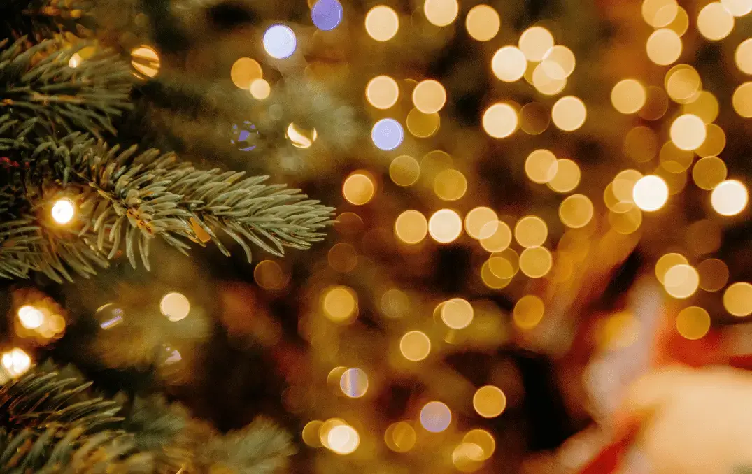 Permanent Holiday Lights Cost in Canada: What You Can Expect to Pay in 2025