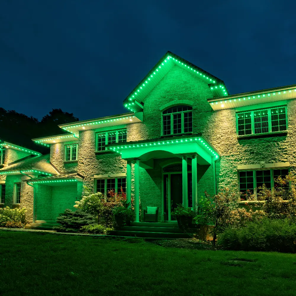 Leader in Green