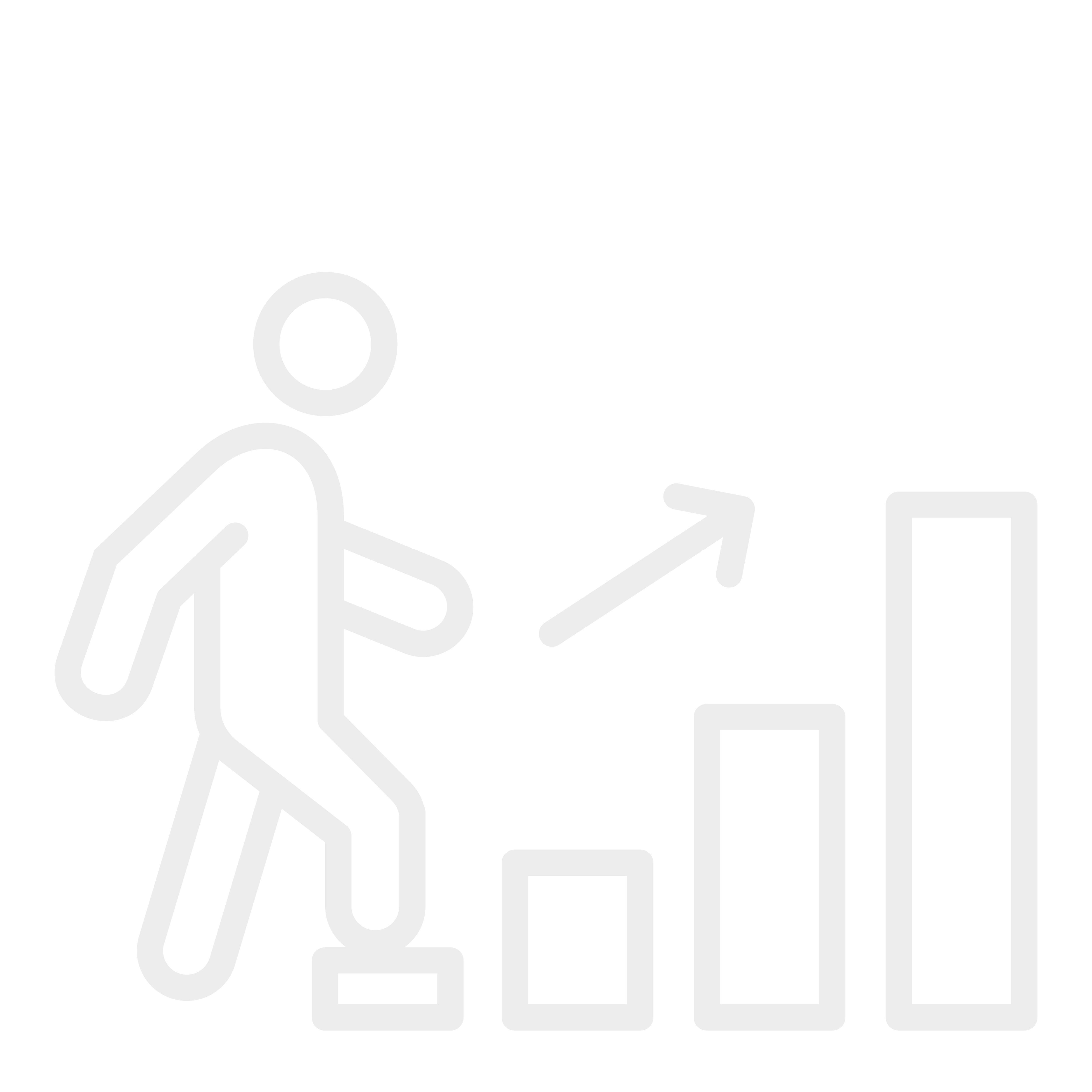 Icon 1