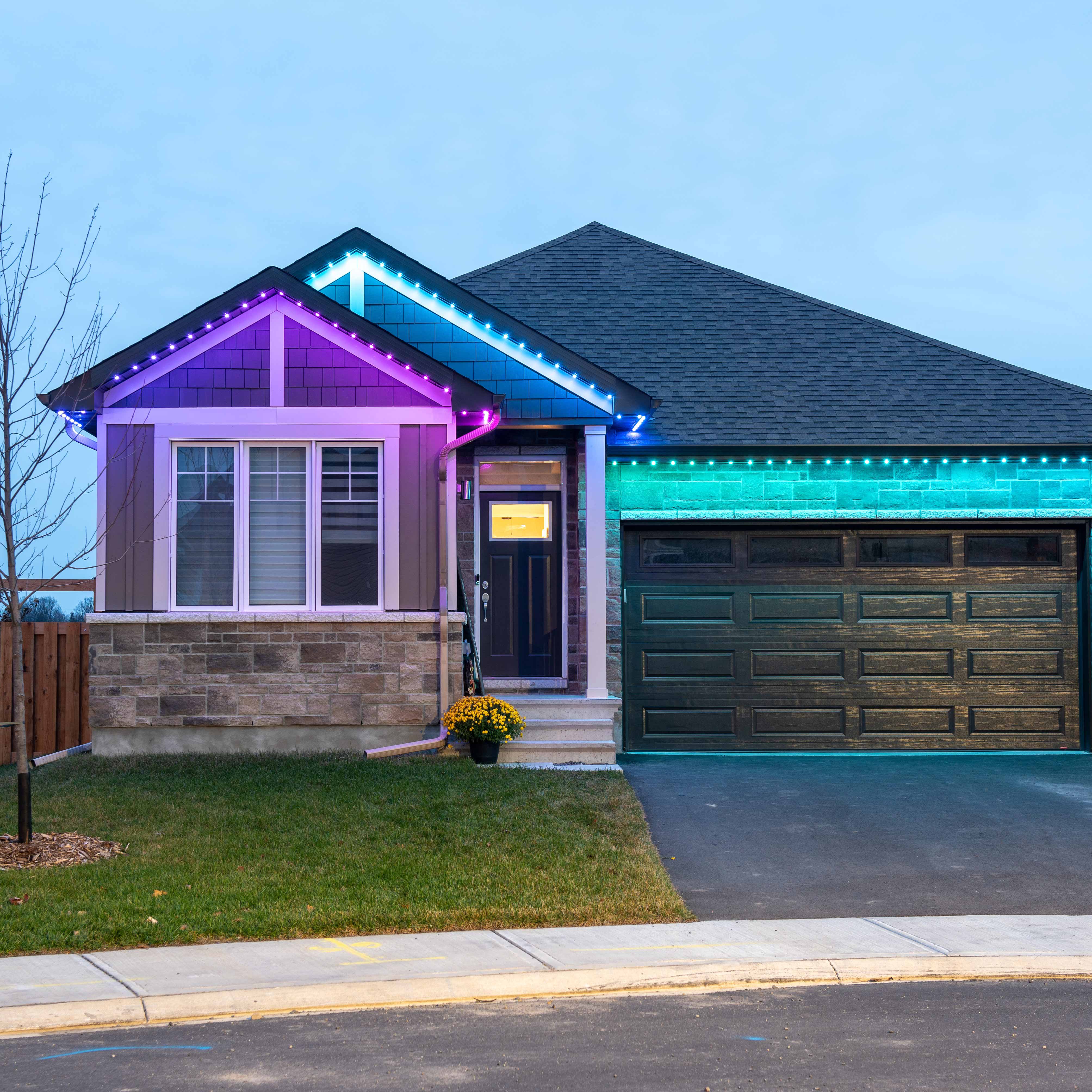 House outlined with red, blue, and white permanent Christmas lights glowing at dusk.