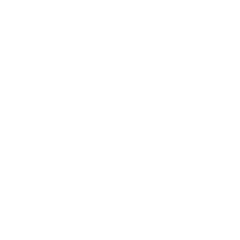 Handshake Icon