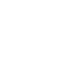 Loudspeaker Icon