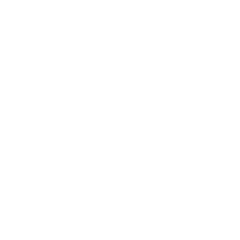 Wrench Icon